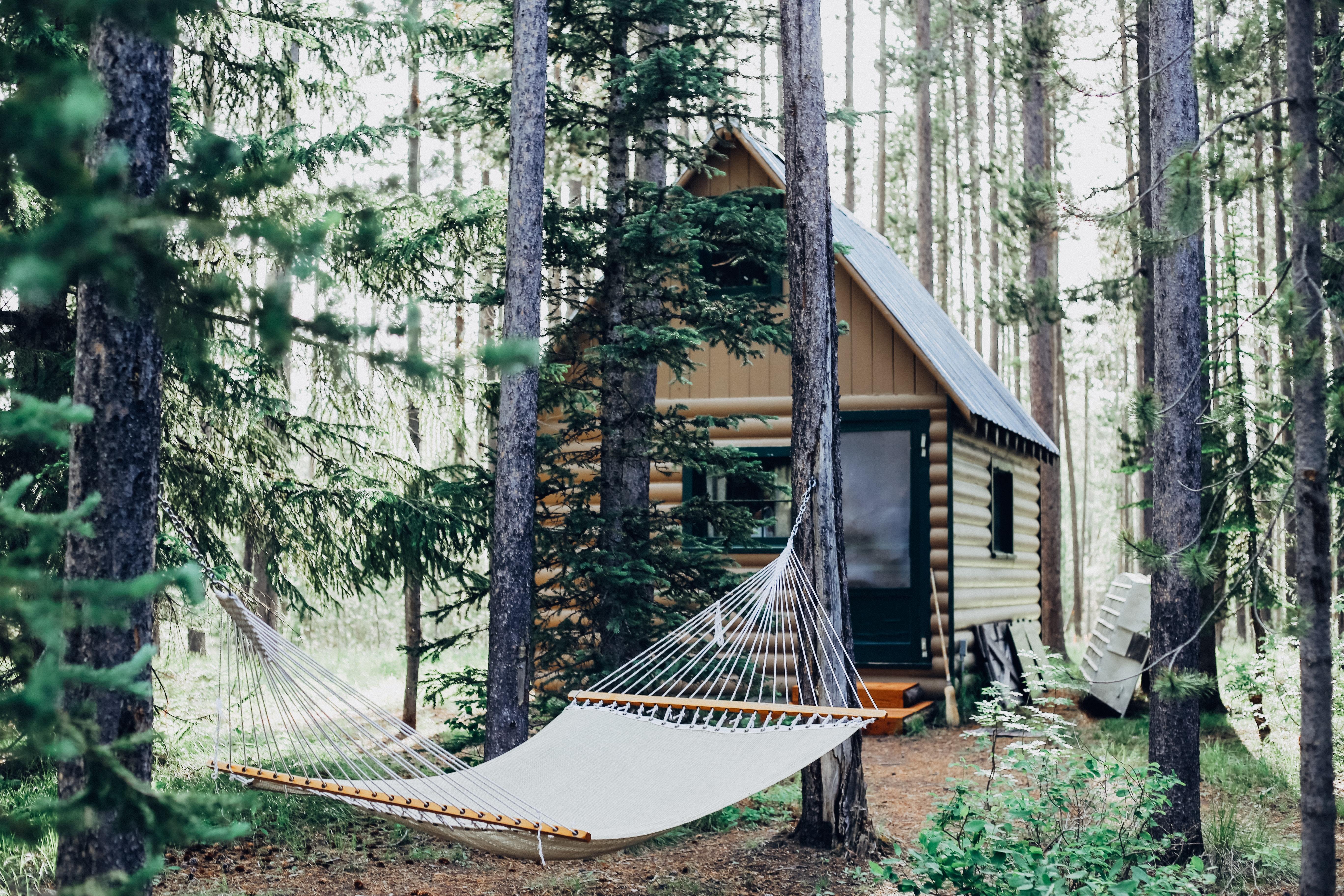 log cabin with outdoor hammock